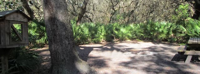 campsite with picnic table, food cage, and fire ring under live oak trees