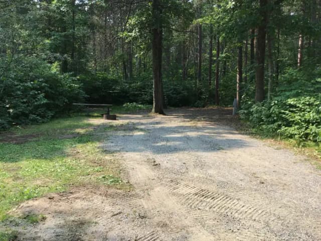 Site 29