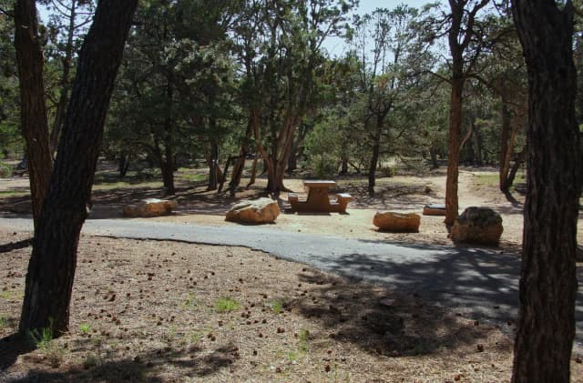 Picnic table, fire pit, and parking spot, Mather Campground