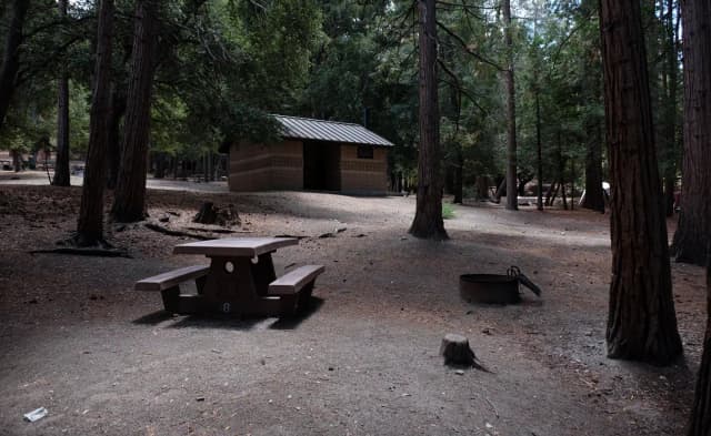 Site 006, Picnic area with fire pit.