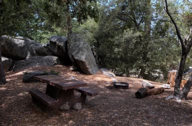 Site 007, Picnic area with fire pit.