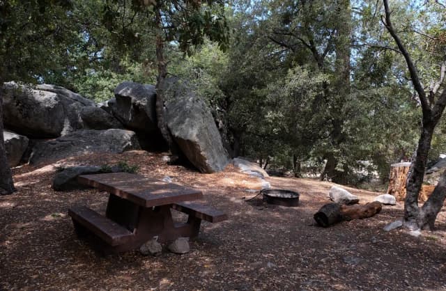 Picnic area with fire pit.