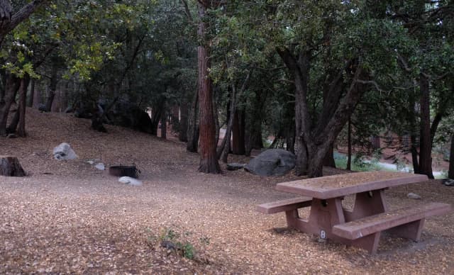 Picnic area with fire pit.