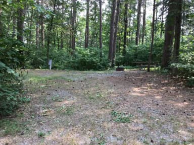 Site 36