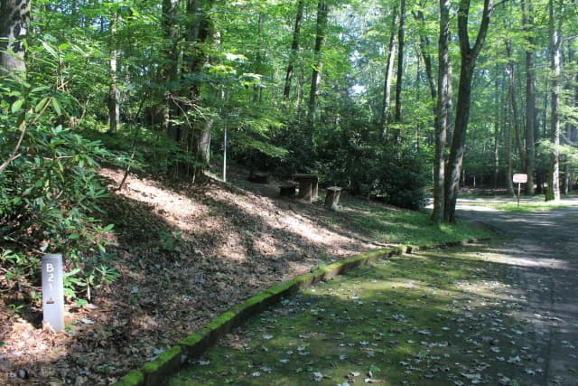 B Loop Site 21 - Tent Only Nonelectric