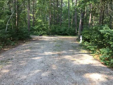 Site 37
