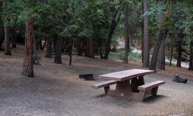Picnic area with fire pit.