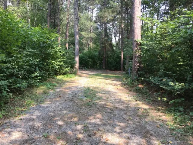 Site 38