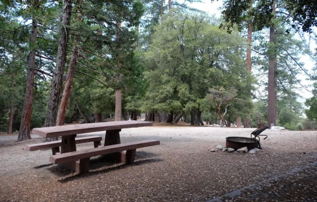 Picnic area with fire pit.