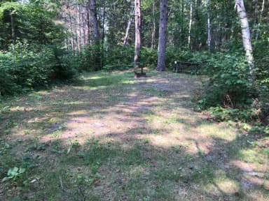 Site 40