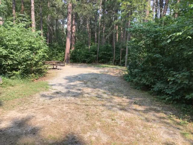 Site 41