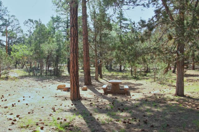 Picnic table, fire pit, and parking spot, Mather Campground