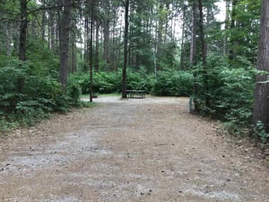 Site 42