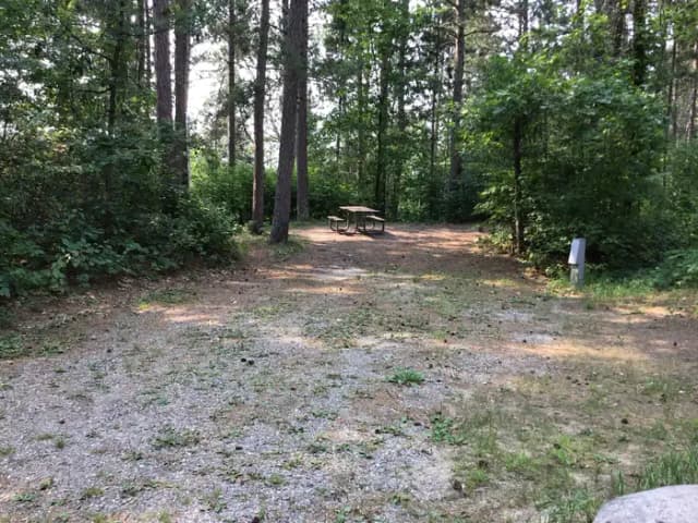 Site 44