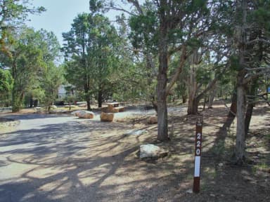 Picnic table, fire pit, and parking spot, Mather Campground