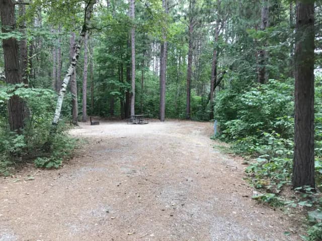 Site 45