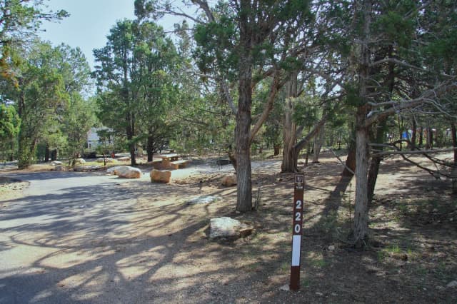 Picnic table, fire pit, and parking spot, Mather Campground