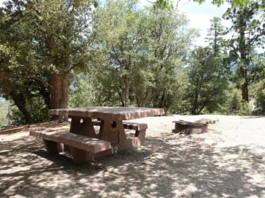 Picnic area with fire pit.
