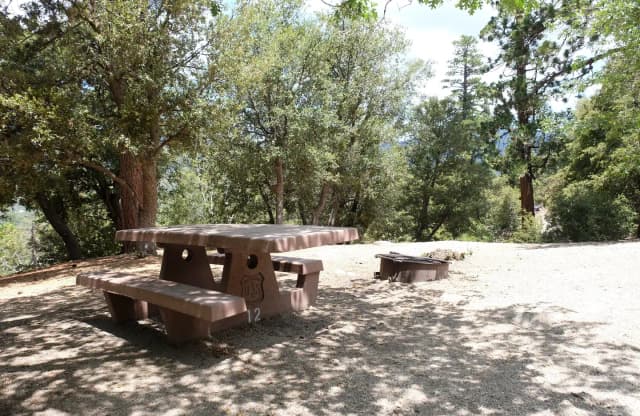 Picnic area with fire pit.
