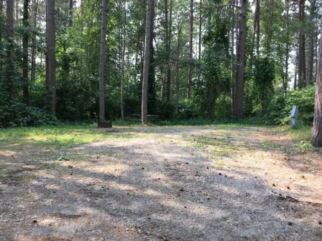 Site 47