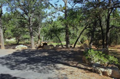 Oak Loop (Sites 201-264) · Site 222 at Mather Campground