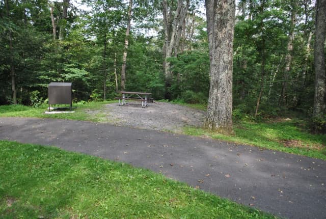 Mathews Arm Campground - Site A056