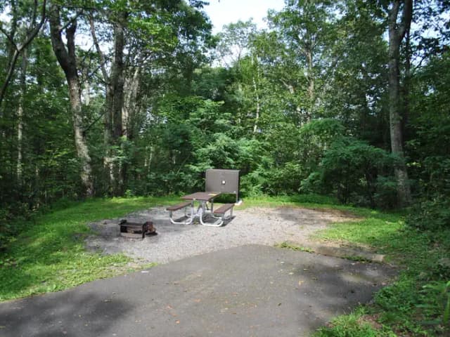 Mathews Arm Campground - Site A057
