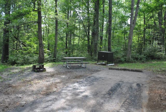 Mathews Arm Campground - Site A114