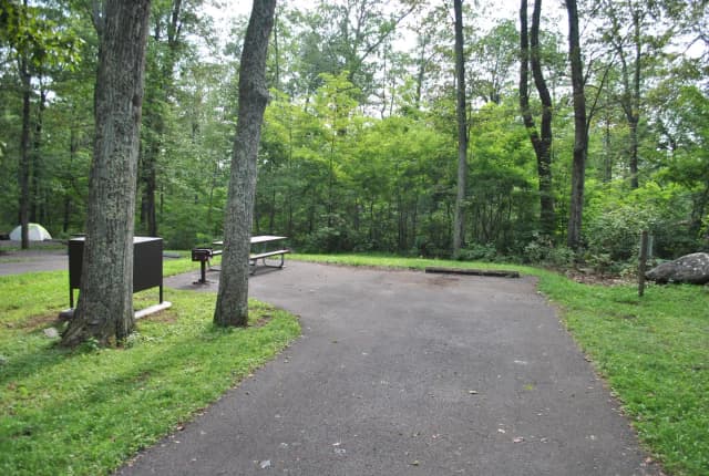 Mathews Arm Campground - Site B126
