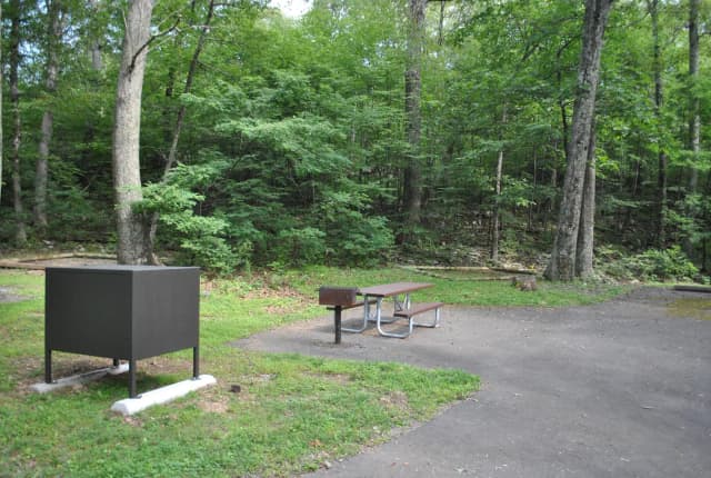 Mathews Arm Campground - Site B127