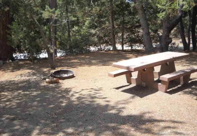 Campground with picnic table and fire pit.