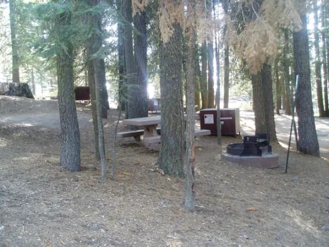 Overview of campsite with bear box, picnic table, fire ring and nearby campsite