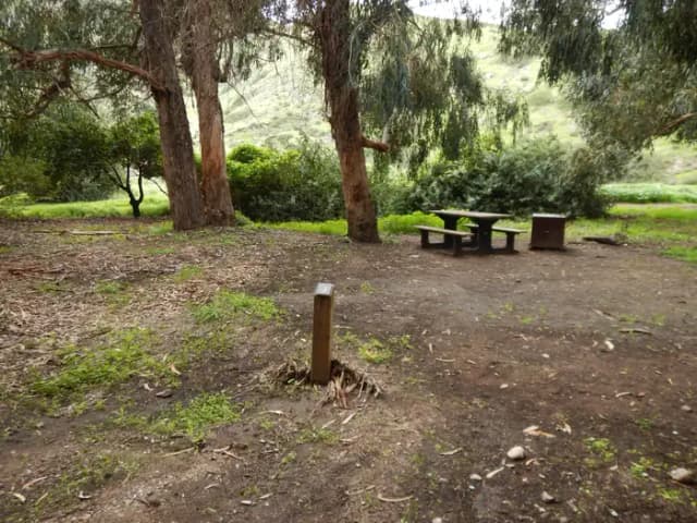 Campsite eucalyptus forested area with picnic table, food storage box, and campsite number.