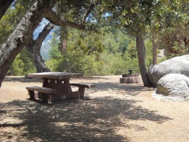 Campground with picnic table and fire pit.