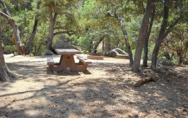Campground with picnic table and fire pit.
