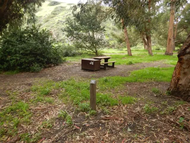 Campsite eucalyptus forested area with picnic table, food storage box, and campsite number.