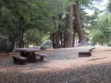 Campground with picnic table and fire pit.
