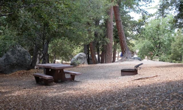 Campground with picnic table and fire pit.