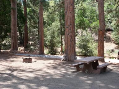 Campground with picnic table and fire pit.