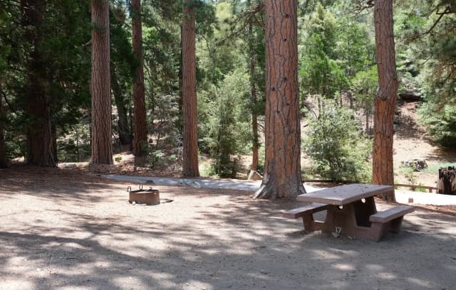 Campground with picnic table and fire pit.