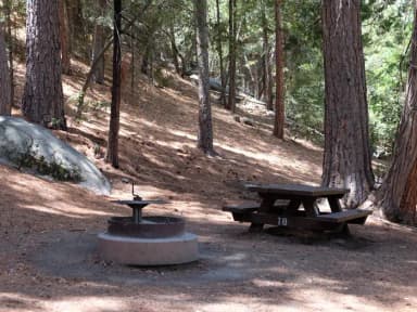 Campground with picnic table and fire pit.