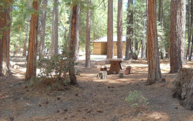 Campground with picnic table.