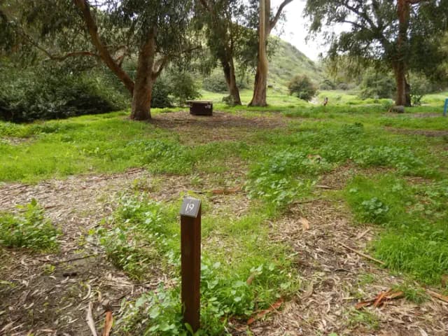 Campsite eucalyptus forested area with picnic table, food storage box, and campsite number.