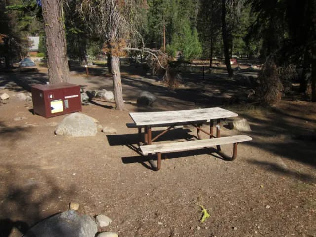 site 4