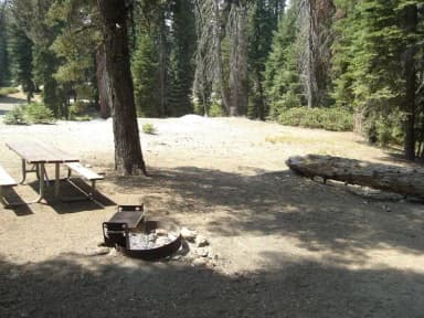 Site 170, Partial Shade