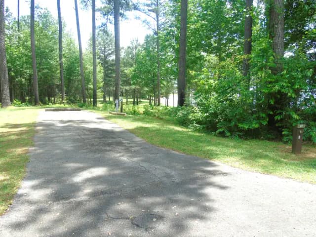 Campsite with Picnic Table.