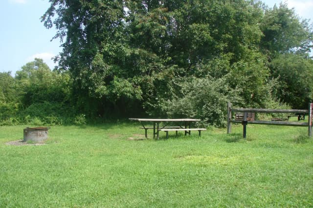 Goldenrod · Site G20 at Camp Gateway- Brooklyn Ny