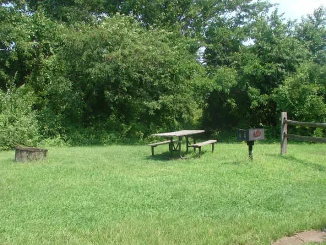 Goldenrod · Site G22 at Camp Gateway- Brooklyn Ny