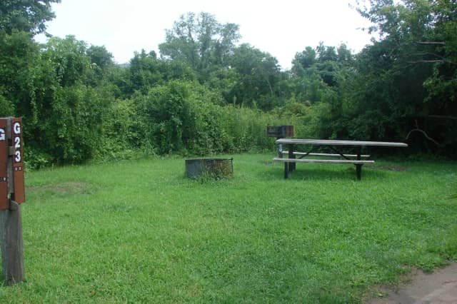 Goldenrod · Site G23 at Camp Gateway- Brooklyn Ny
