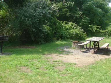 Goldenrod · Site G25 at Camp Gateway- Brooklyn Ny